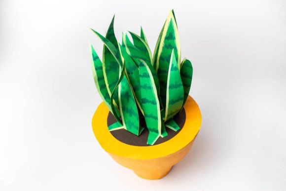 3D Plant - Snake Succulent